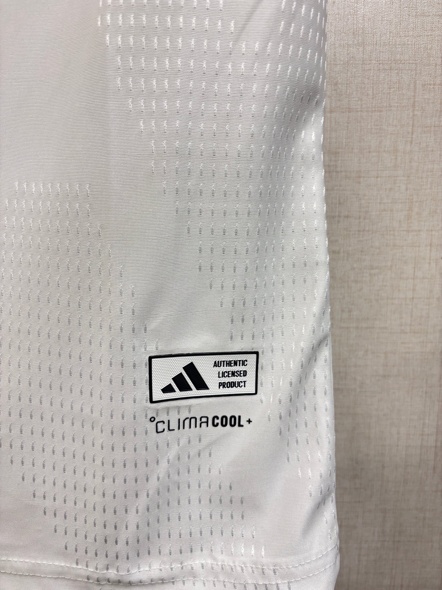 WIRTZ GERMANY FIFA CUP  ORIGINAL JERSEY 2026